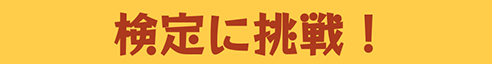 ソース検定とは？